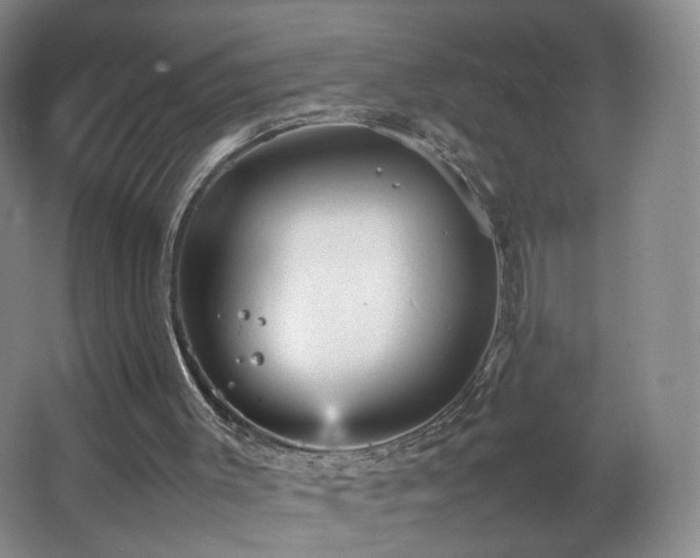 X0000066940003200603241154