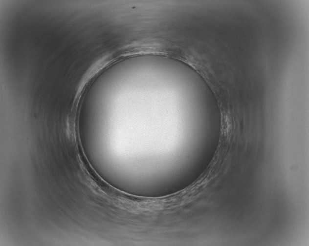 X0000066940004200603241154