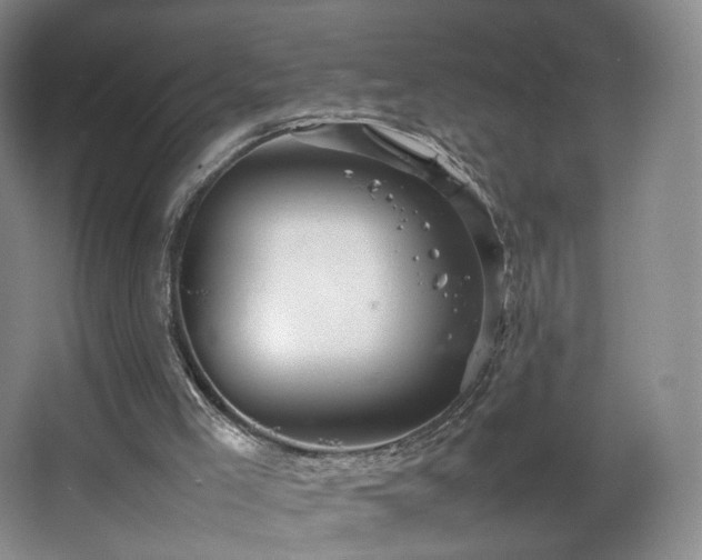 X0000066940005200603241154