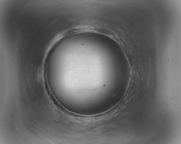 X0000066940006200603241154