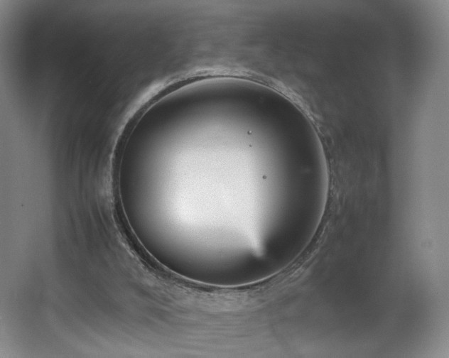 X0000066940008200603241154