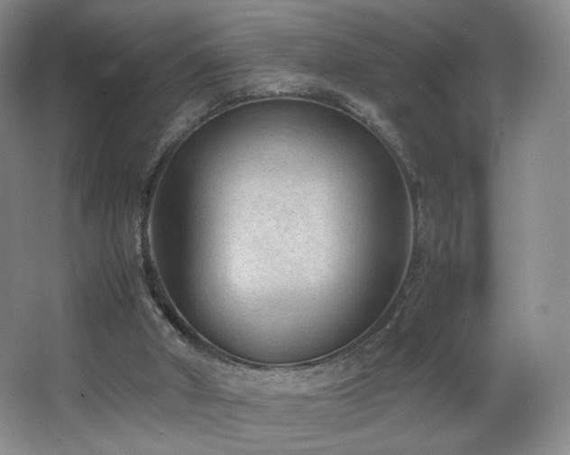 X0000066940010200603241154