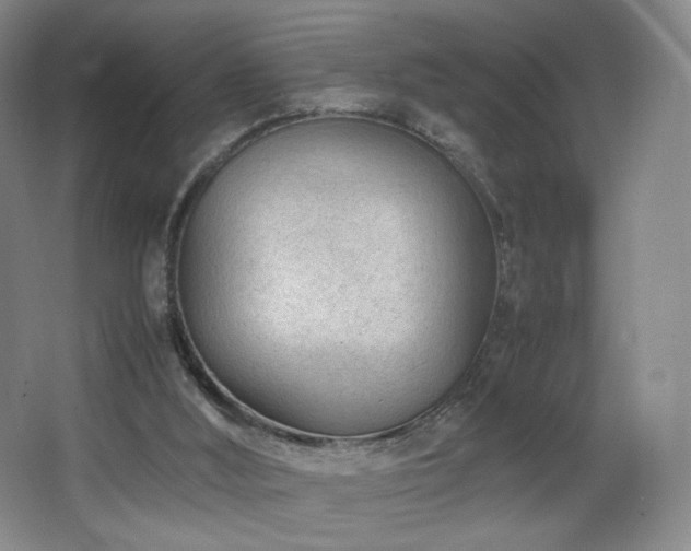 X0000066940012200603241154