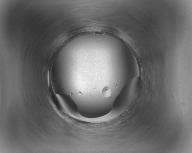 X0000066940013200603241154