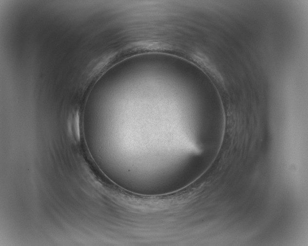 X0000066940014200603241154