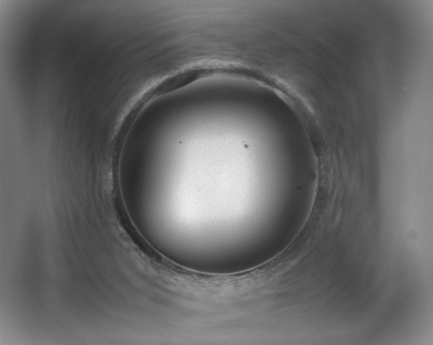 X0000066940015200603241154