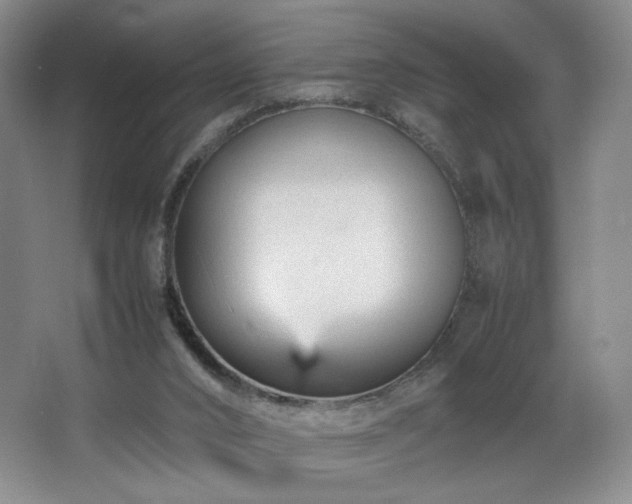 X0000066940016200603241154