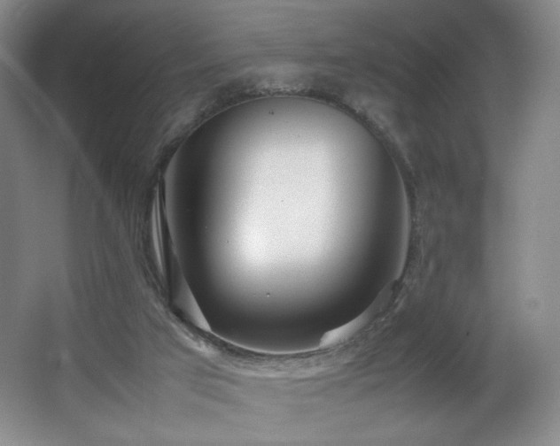 X0000066940017200603241154