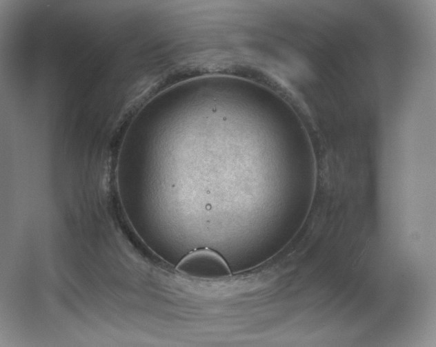 X0000066940018200603241154