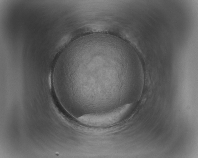 X0000066940019200603241154