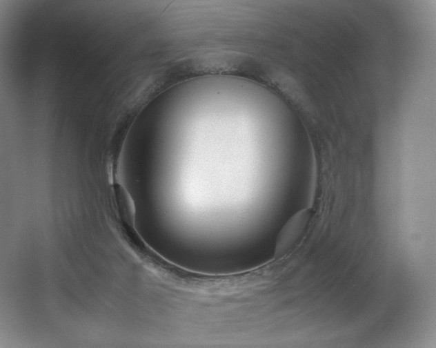 X0000066940021200603241154