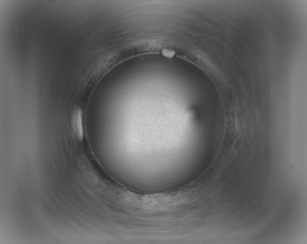 X0000066940022200603241154