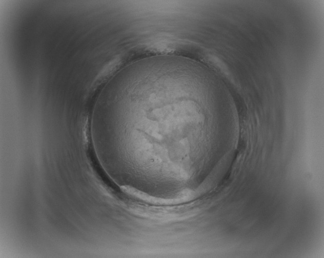 X0000066940023200603241154