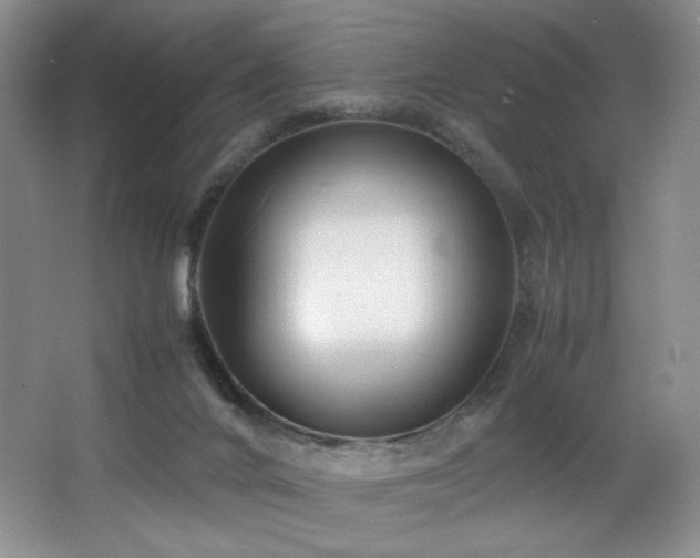 X0000066940024200603241154