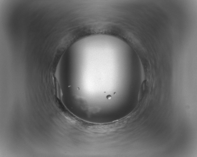 X0000066940025200603241154