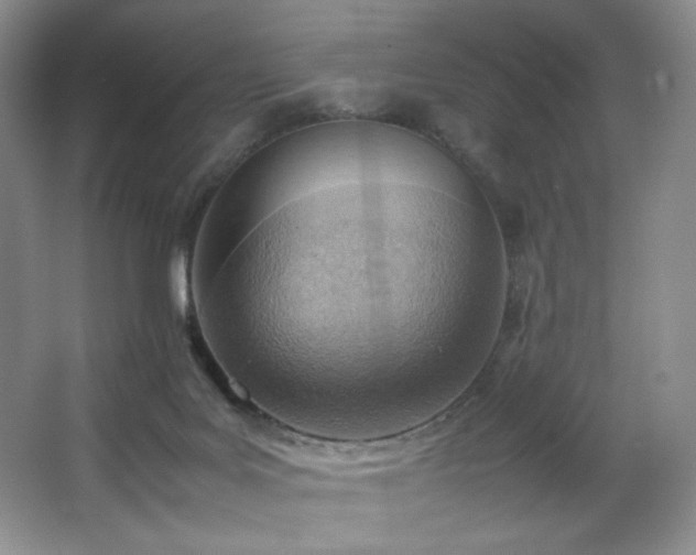 X0000066940027200603241154