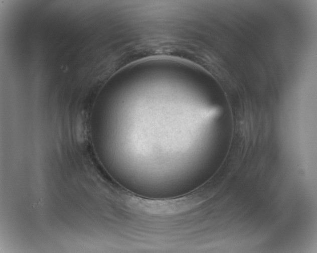 X0000066940030200603241154