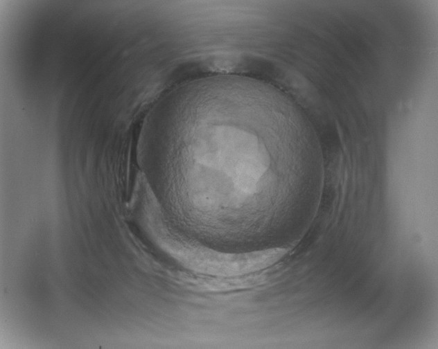 X0000066940031200603241154