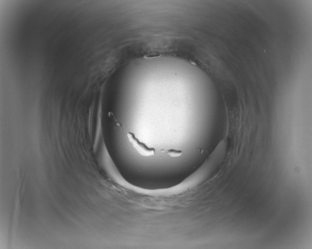 X0000066940033200603241154