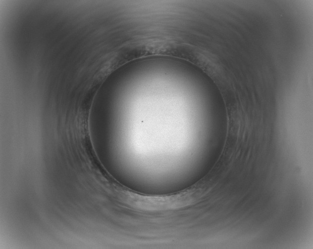 X0000066940034200603241154