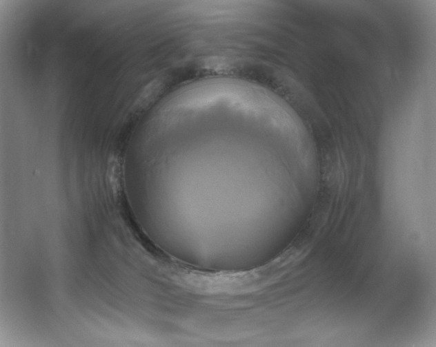 X0000066940036200603241153