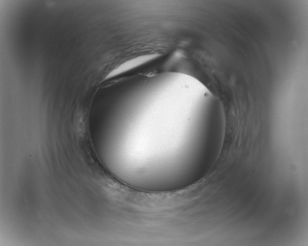 X0000066940037200603241153