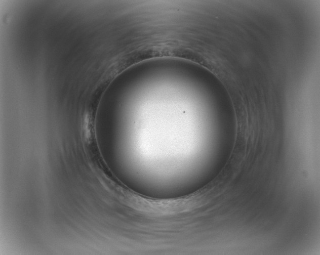 X0000066940038200603241153