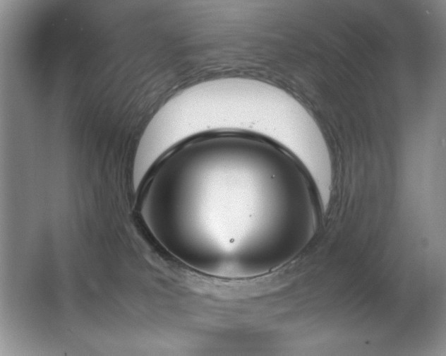 X0000066940039200603241153