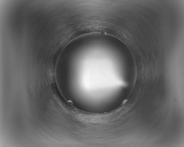 X0000066940040200603241153