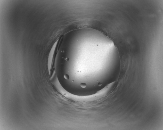 X0000066940041200603241153