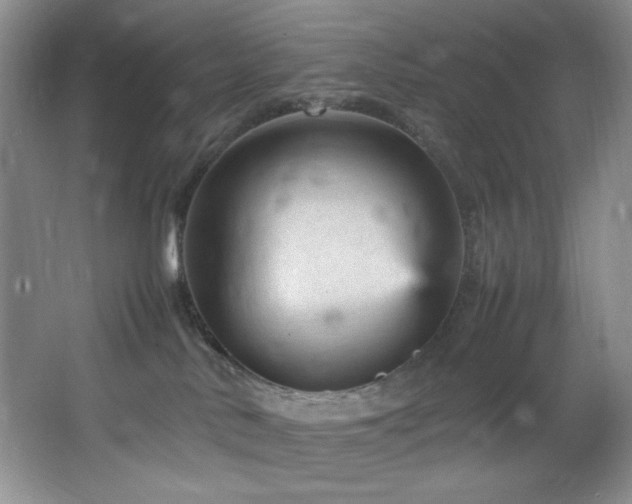 X0000066940042200603241153