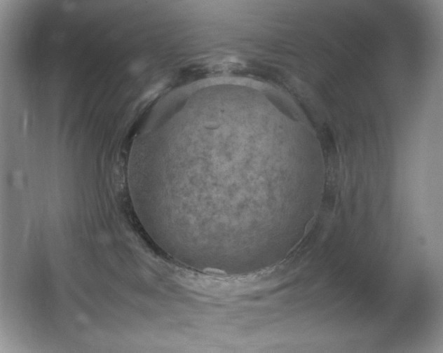 X0000066940043200603241153