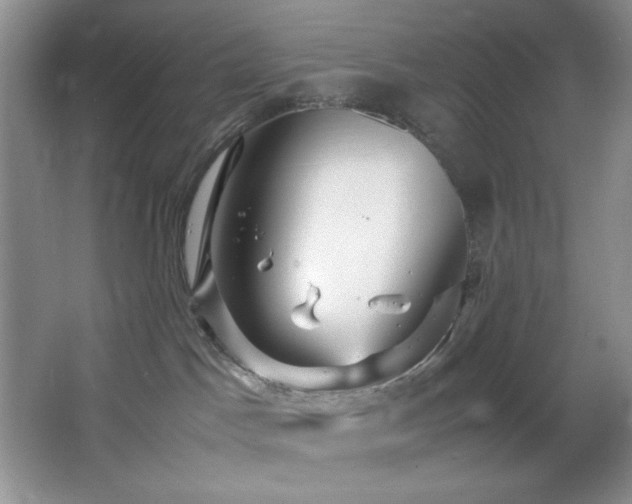 X0000066940045200603241153