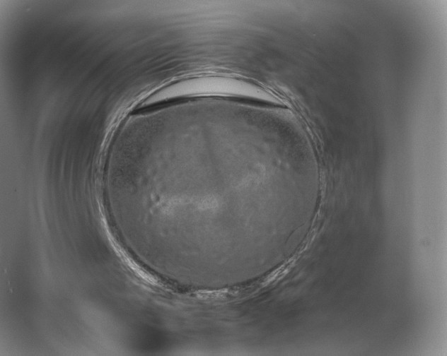 X0000066940049200603241152