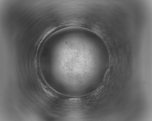 X0000066940050200603241152