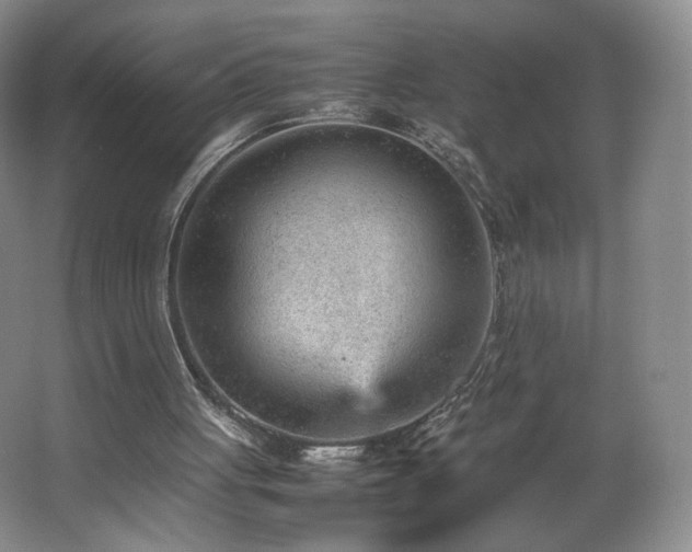 X0000066940051200603241152