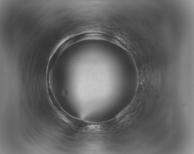 X0000066940052200603241152