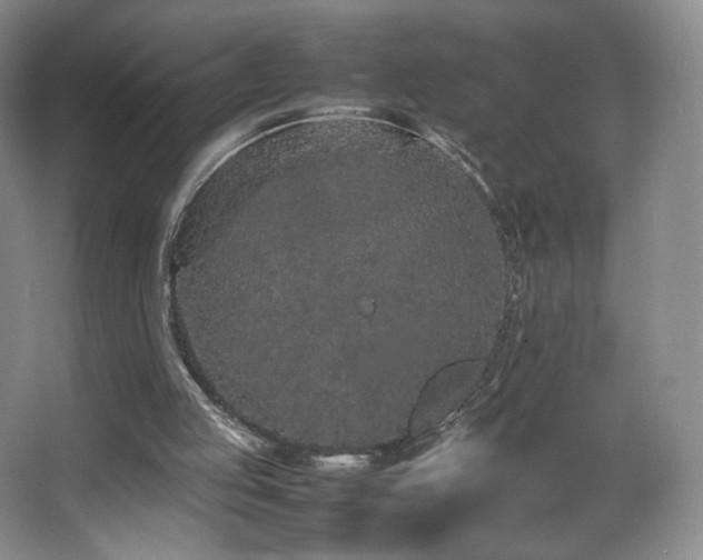 X0000066940053200603241153