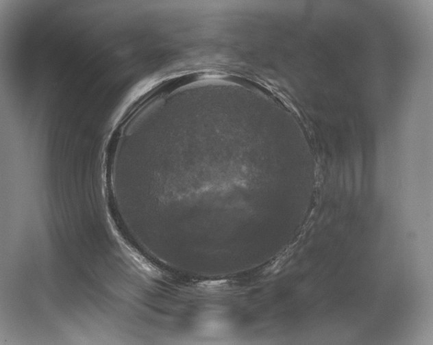 X0000066940054200603241153