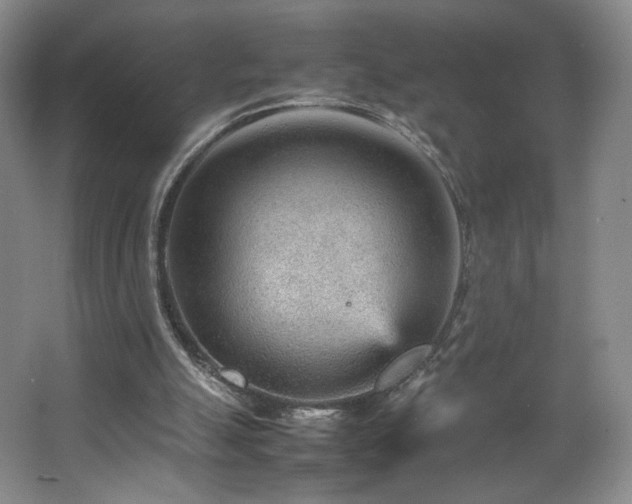 X0000066940055200603241153