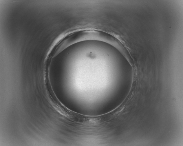 X0000066940056200603241153