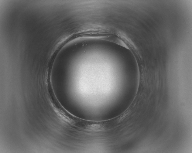 X0000066940058200603241153