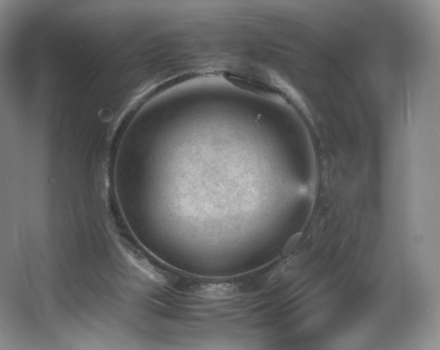 X0000066940059200603241153