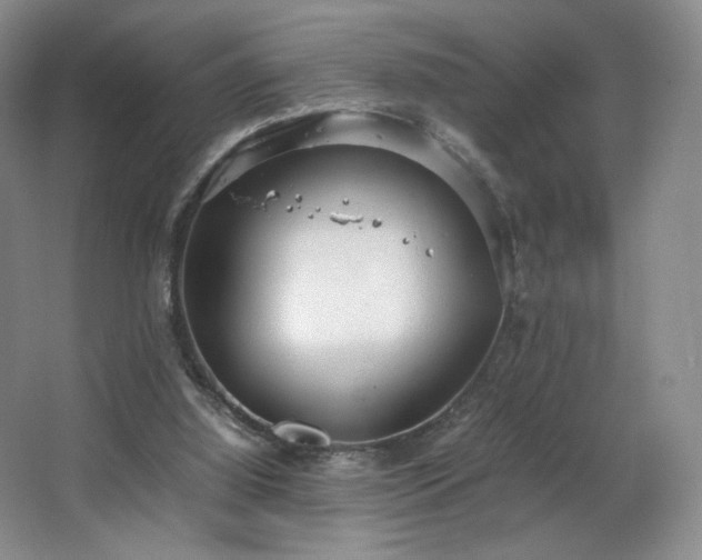 X0000066940060200603241153