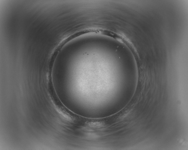 X0000066940063200603241153