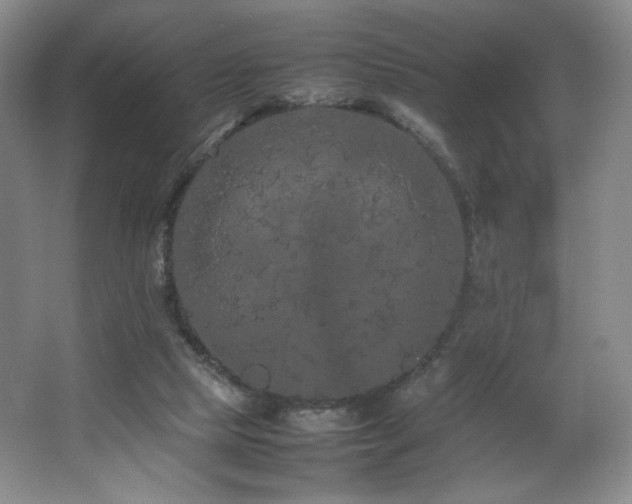 X0000066940065200603241153