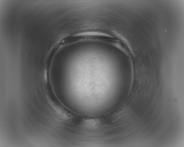 X0000066940067200603241153