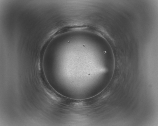 X0000066940068200603241153