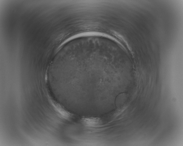 X0000066940069200603241153