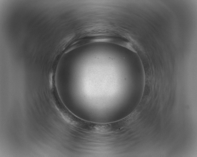 X0000066940070200603241153